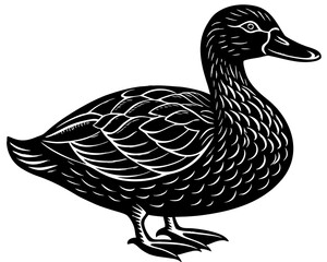illustration of a duck