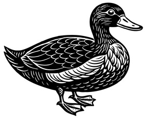 duck vector illustration