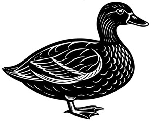 illustration of a duck