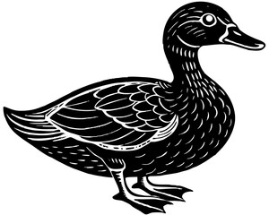 duck vector illustration