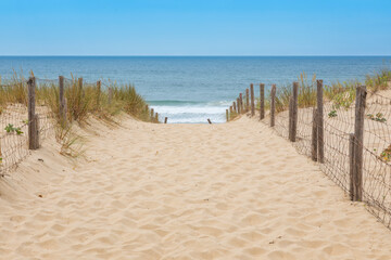 Path to Plage des Dunes beach on the Atlantic Ocean coast of  Lège-Cap Ferret peninsula