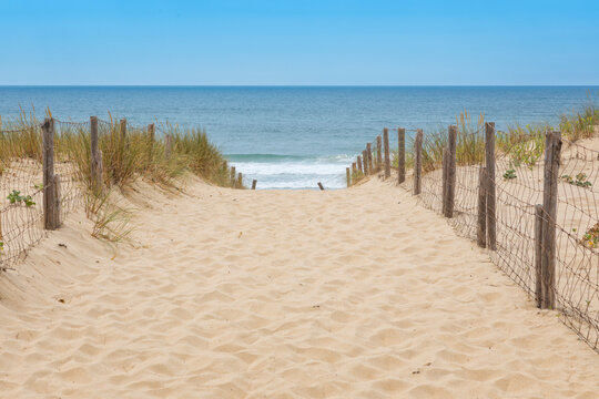 Fototapeta Path to Plage des Dunes beach on the Atlantic Ocean coast of  Lège-Cap Ferret peninsula