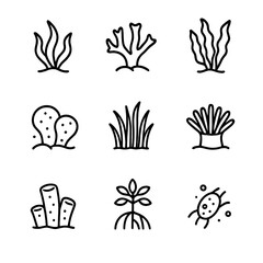 Ocean Plant Icons. Outline icon set of ocean plants: seaweed, coral, kelp, algae, seagrass, anemone, sponge, mangrove, plankton.
