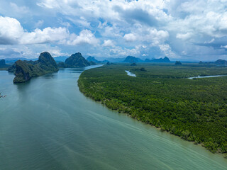 Aerial view tropical rainforest mangrove tree sea bay