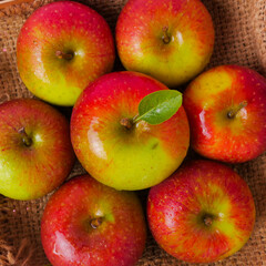 Fresh Malang apples with a vibrant mix of red and green skin, displayed on a rustic burlap surface,...