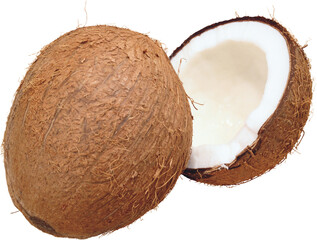Whole brown hairy coconut cut in half revealing white flesh and water isolated on transparent...