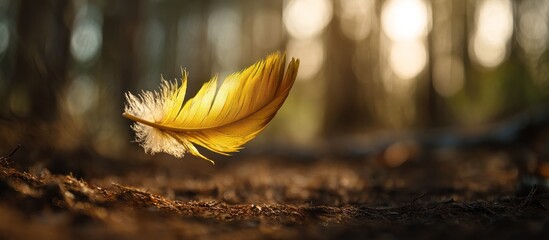 Floating golden feather on forest floor with blurred trees background