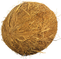 Close up view of a whole brown coconut with fibrous husk and hairy texture isolated on transparent...