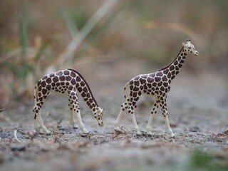 Mini toy of action figure at outdoor with blurred background. Miniature photography concept design. Minifigure of giraffe character at grassland.