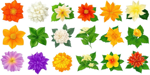 Assorted floral arrangement collection on transparent png background