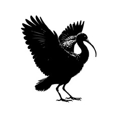 Obraz premium Black silhouette of an ibis bird with wings spread isolated on white background
