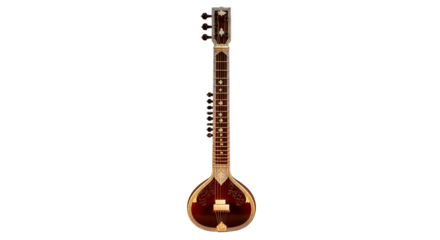 sitar elegant indian classical music instrument stock photo