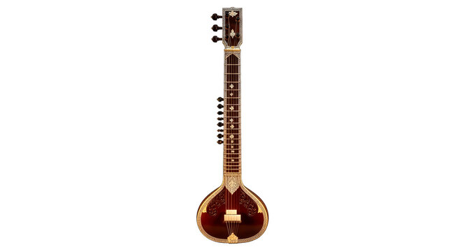 sitar elegant indian classical music instrument stock photo