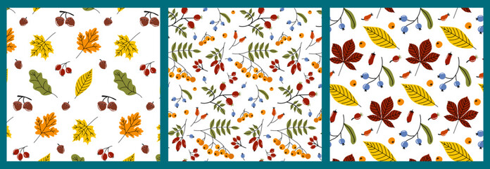 Colorful autumn leaf and berry patterns showcasing nature's beauty in vibrant designs