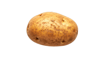 single russet potato perfect for recipe blogs and food websites
