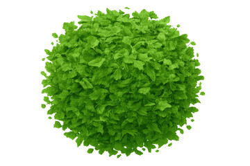 Fototapeta premium Lush green leaves create a perfect sphere, isolated on a transparent background, evoking concepts of nature, ecology, and sustainability