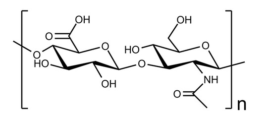 Skeletal formula of Hyaluronic Acid molecule, isolated on transparent background. Molecular formula: C14H21NO11 or (C14H21NO11)n. 3D illustration