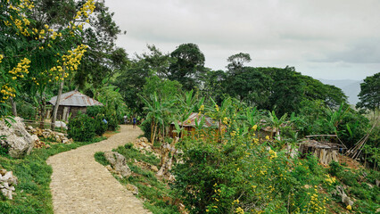 Rural village path in Haiti surrounded by lush tropical vegetation, banana plants, and yellow flowering trees under a cloudy sky.