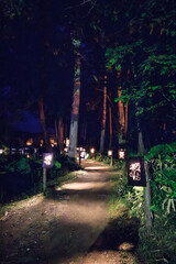 Peaceful forest path illuminated by lanterns at night, Lake Akan, Hokkaido, Japan