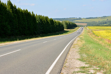 Road with a row of cars through rural landscape with fir trees and fields on a sunny day