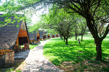 Safari Lodges in Green Tranquility