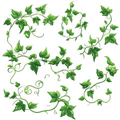 Highly detailed illustrations of various trees, leaves, grasses, and botanical elements, featuring realistic, minimalist, and abstract compositions on a white background.