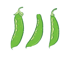 Raw fresh green lablab bean