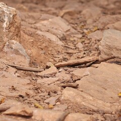 Abstract Stone floor Texture