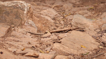 Natural Rugged Rock Background