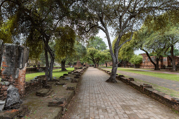 Peaceful stone pathway through ancient Ayutthaya temple ruins lined with trees and weathered brick walls in historic park in Thailand
