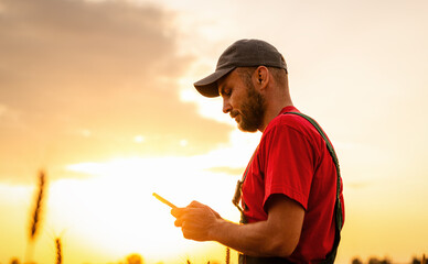 Side view portrait of male farmer in cap checking smartphone in agricultural field at sunset