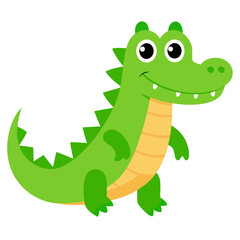 Crocodile