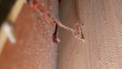 埃が付着した絵画のフレームの裏側　壁とフレームの間