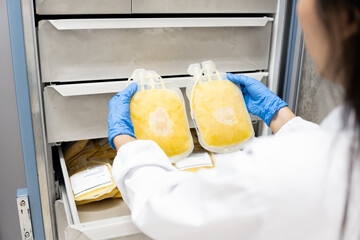Close up scientist hand wear blue gloves holding fresh frozen plasma bag in storage refrigerator at blood bank unit laboratory.Blood bag received from blood donation used in patients.Save life concept