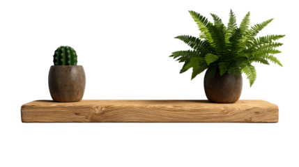 PNG of A stylish wooden shelf displaying a cactus and a lush fern in earthy pots, enhancing any modern decor.