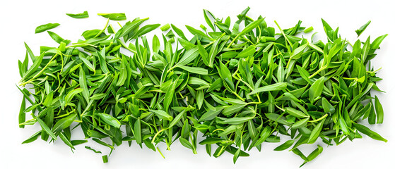 green grass on white background