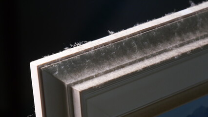 埃が付着した絵画のフレーム