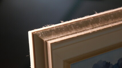 埃が付着した絵画のフレーム