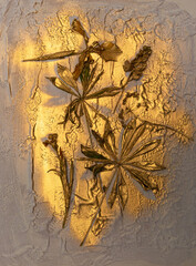 Dried flowers on a golden background