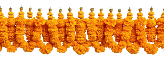 Ornate, repeating,  golden-orange floral garland