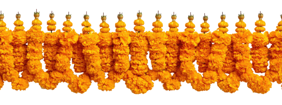 Ornate, repeating,  golden-orange floral garland