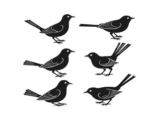 set of birds Minimalist Line Art Animal Vector – Black and White SVG