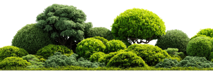 Lush green landscape with sculpted bushes