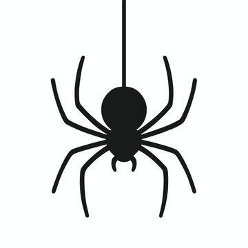 Silhouette spider hanging from a string against white background, Halloween decoration, black spider 