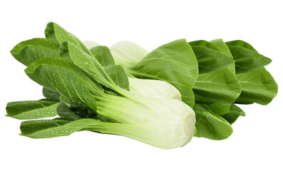 fresh bok choy isolated on transparent background.