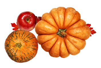 pumpkins and apple with fall leaves isolated on transparent background