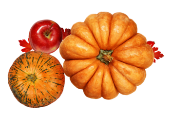 pumpkins and apple with fall leaves isolated on transparent background
