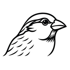 eagle vector illustration