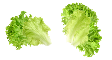 lettuce leaves, isolated on transparent background