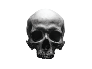 Human skull detailed bone structure facing front head anatomy, Isolated, Png Transparent Background